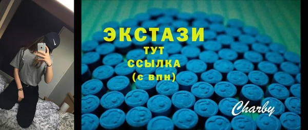 стаф Касимов