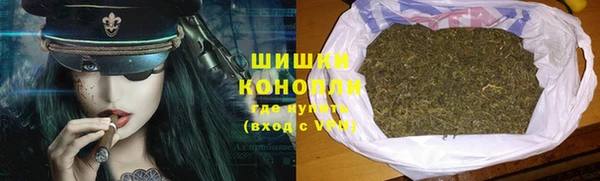 стаф Касимов