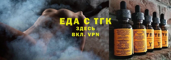стаф Касимов