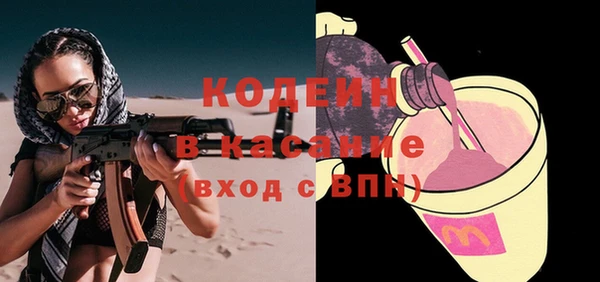 стаф Касимов
