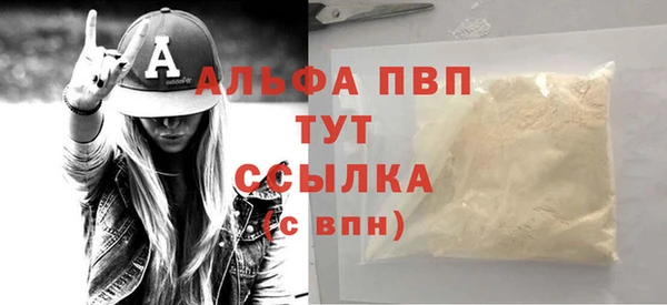 стаф Касимов