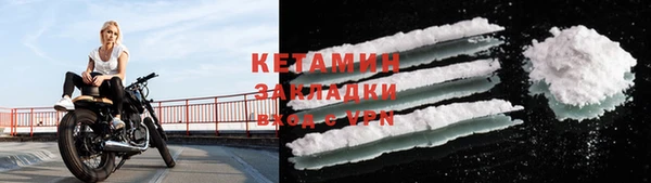 стаф Касимов