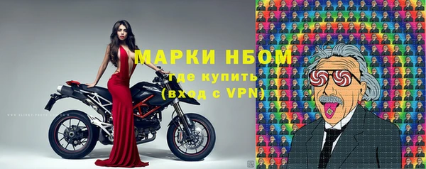 стаф Касимов