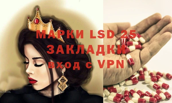 стаф Касимов
