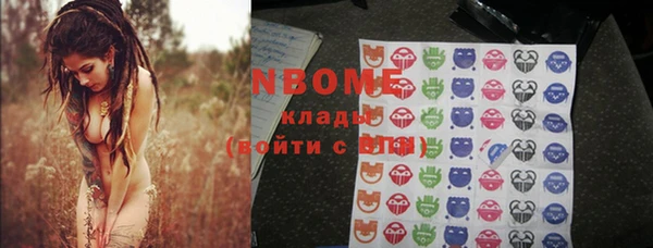 стаф Касимов