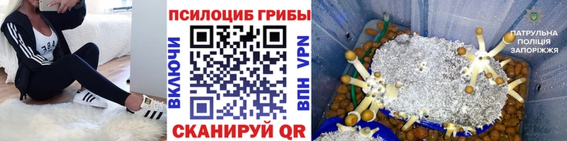 Галлюциногенные грибы мухоморы  Купить закладки  Амурск 